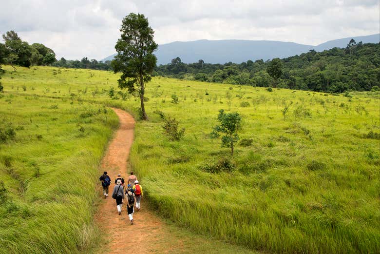 Hike through Khao Yai National Park